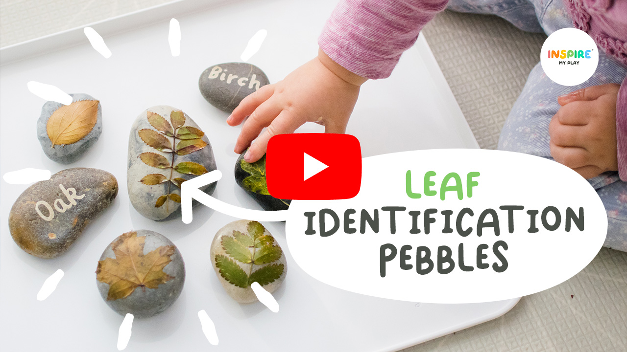 Leaf Identification Pebbles